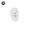 5D Silicone Ear Model for Ear Picking, Teaching, Jewelry Display, and Hearing Aid Demonstration