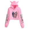 Attack on Titan Logo Hoodie Sweatshirt