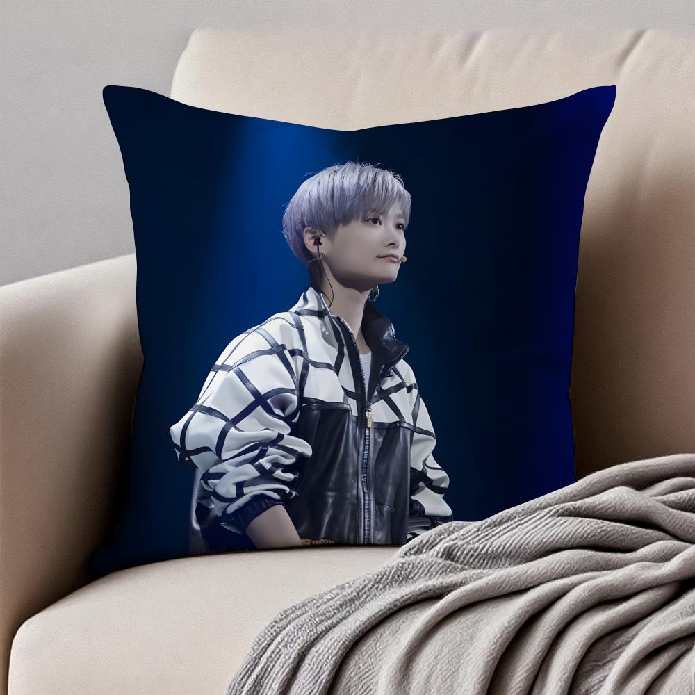 Popular fashion Chinese singer LLi Yuchun Cushion Cover Pillowcase Antidustmite Invisible Zipper Short Plush Sofa Cushion