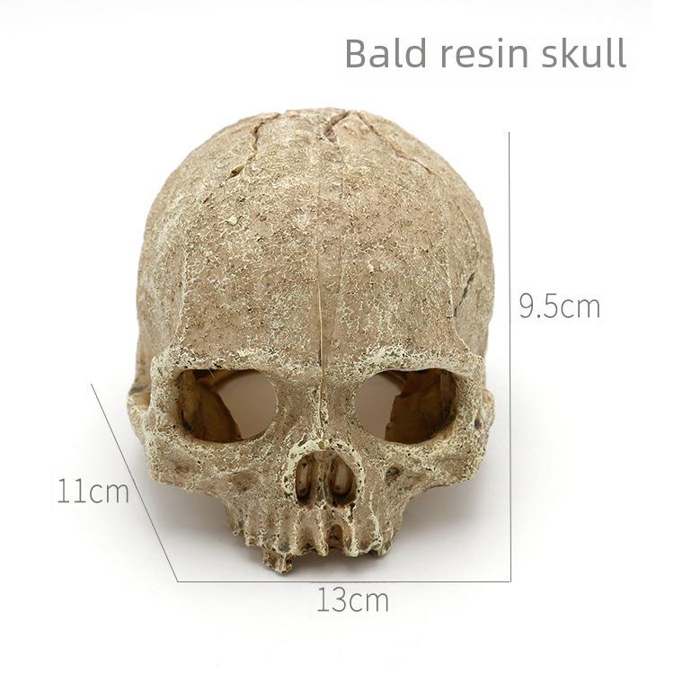 Beliebtes Totenkopf-Serien-Terrarium-Ornament für Schlangen und Eidechsen - Aquarium-Landschaft & Haustier-Versteck