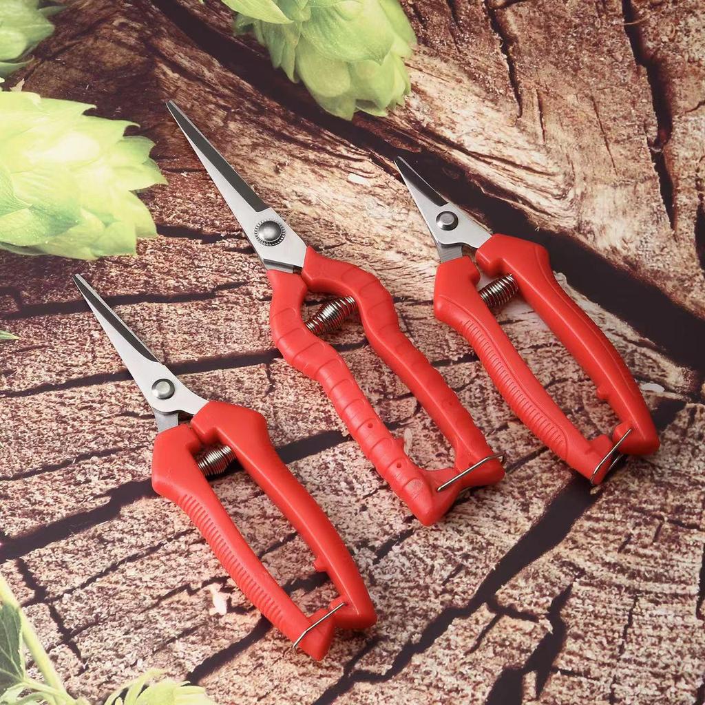 Wielofunkcyjne nożyce ogrodnicze: Idealny do zbierania owoców, cięcia kwiatów, szczepienia i przycinania drzew