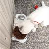 Doppelnapf für Katzen mit Ständer Tierfutter Näpfe für Katzen Langlebig Rutschfest Kleine Hunde Wasserspender Kätzchen Trinknapf Haustierbedarf