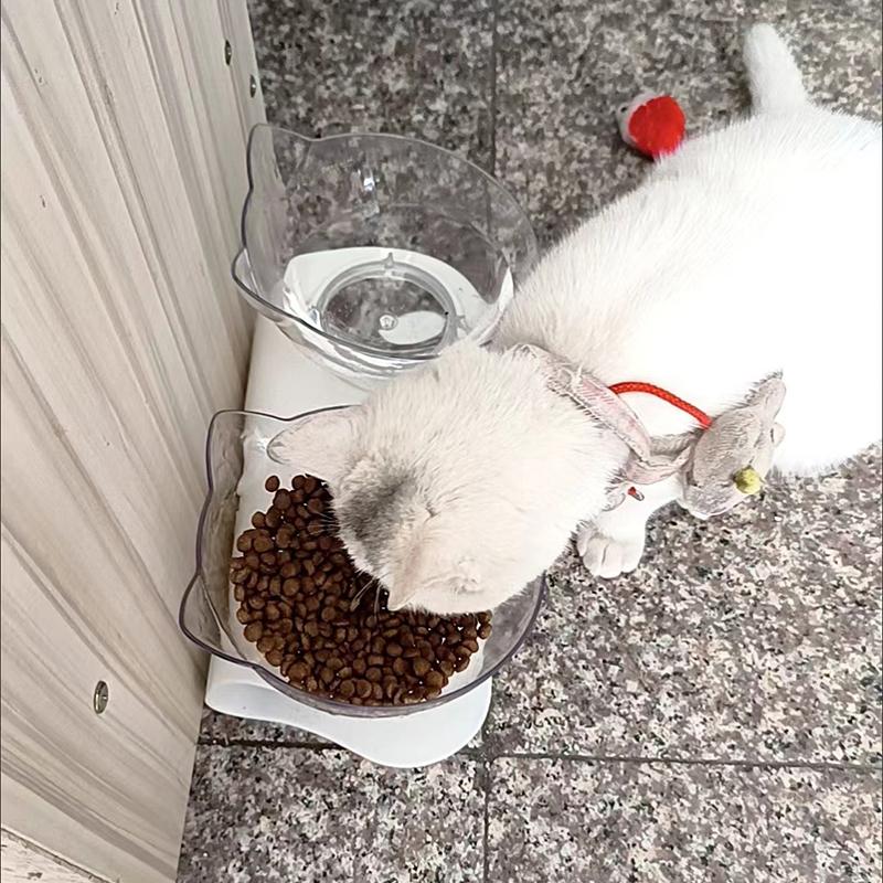 Doppelnapf für Katzen mit Ständer Tierfutter Näpfe für Katzen Langlebig Rutschfest Kleine Hunde Wasserspender Kätzchen Trinknapf Haustierbedarf