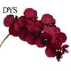 Natürlich aussehende Seidenorchideen-Stiele Künstliche Phalaenopsis-Blüten 10-Kopf-Stiel 3D-Druck Realistische Orchideen Wohnzimmer-Blumenarrangement für