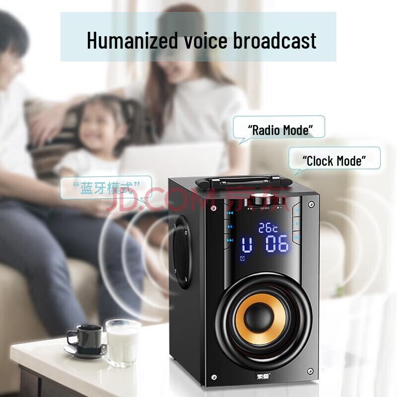 SA-Q22 Outdoor Portable KTV Speaker