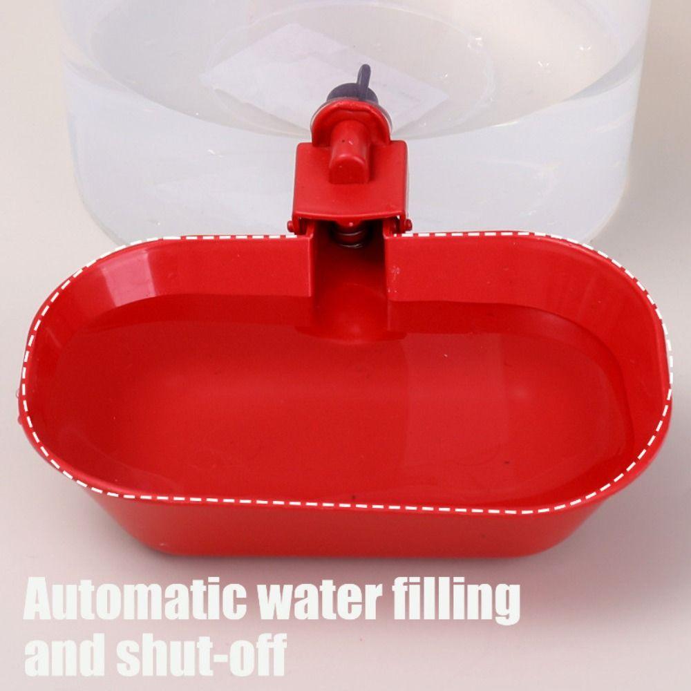 Automatische Abschaltung Hundebrunnen 3L Katze Hund Wassernapf Neuer Automatischer Haustierwasserspender