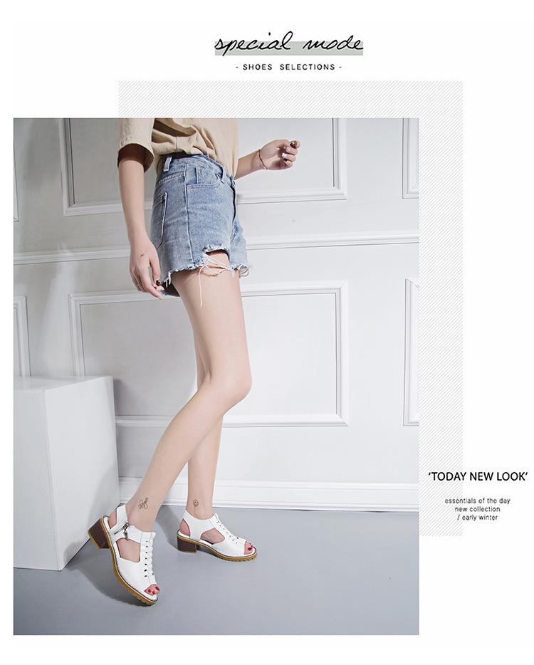 2021 Summer Women's Korean-Style Round Toe Chunky Heel Sandals with Side Zipper - Casual, Solid Color, Plus Size