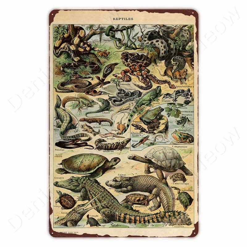 Starověcí Znamení Vintage Kovové Znamení Fosilní Nástěnné Umění Plakát Savci Ryby Znamení pro Domov Třída Dekor Hmyz Plechové Znamení