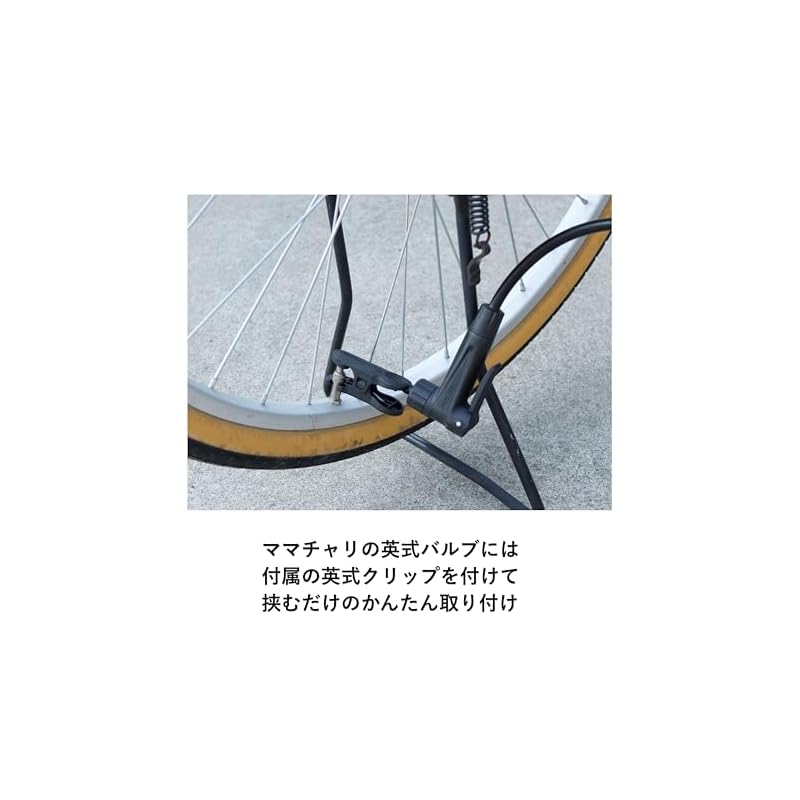 Panaracer Bicycle Air Pump with Long Hose, Pressure Gauge, Compatible with All Valves, Black Resin, BFP-PGAB2-LH