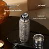 Wushengwu Fengtai Pure Titanium Insulated Tea Infuser Bottle