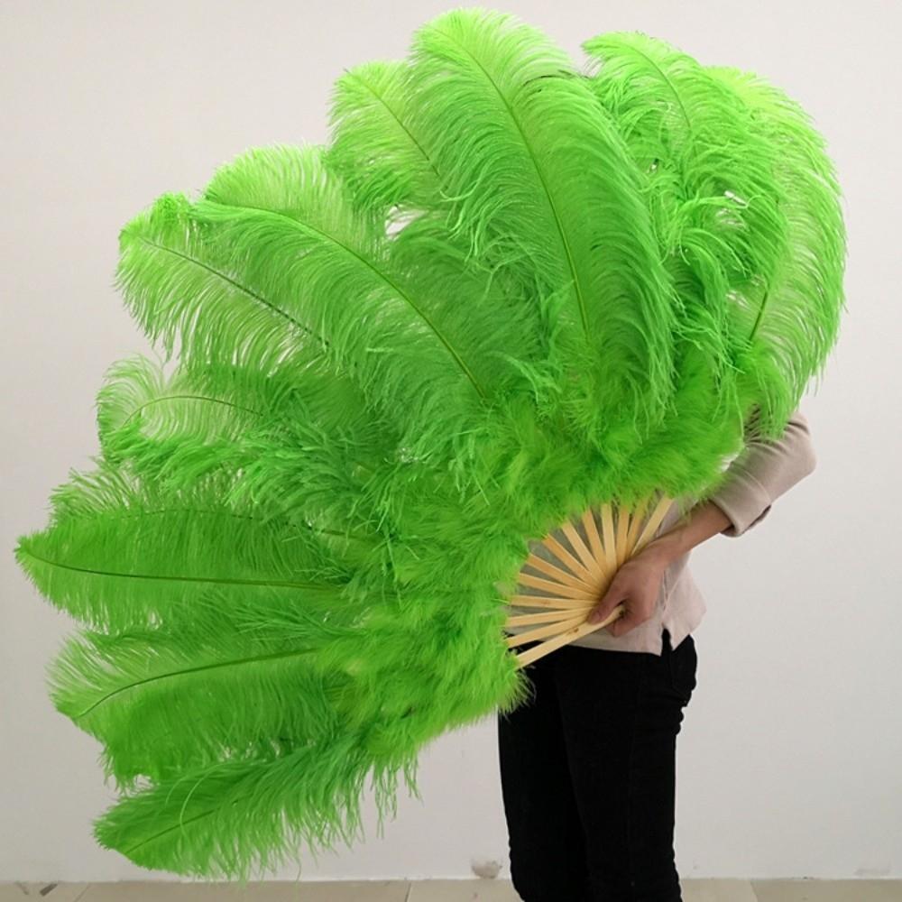 30*52cm 35*60cm Folding Fan 12 Bones Carnival Belly Dance Stage Fan New Handheld Feather Fan