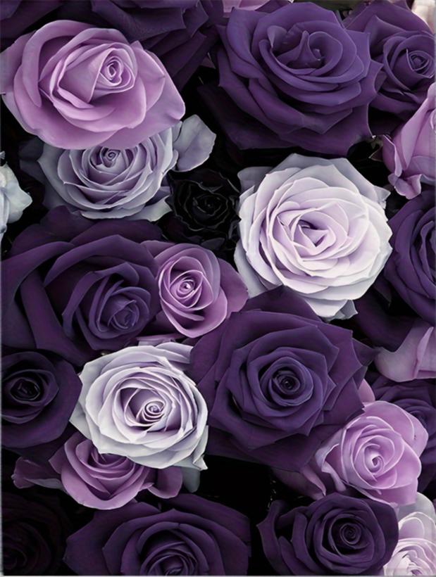 

Элегантный плед с фиолетовыми и белыми розами - Уютный и красочный дизайн, Идеально подходит для любой комнаты, Мягкий и теплый, Идеальный подарок 30x40in