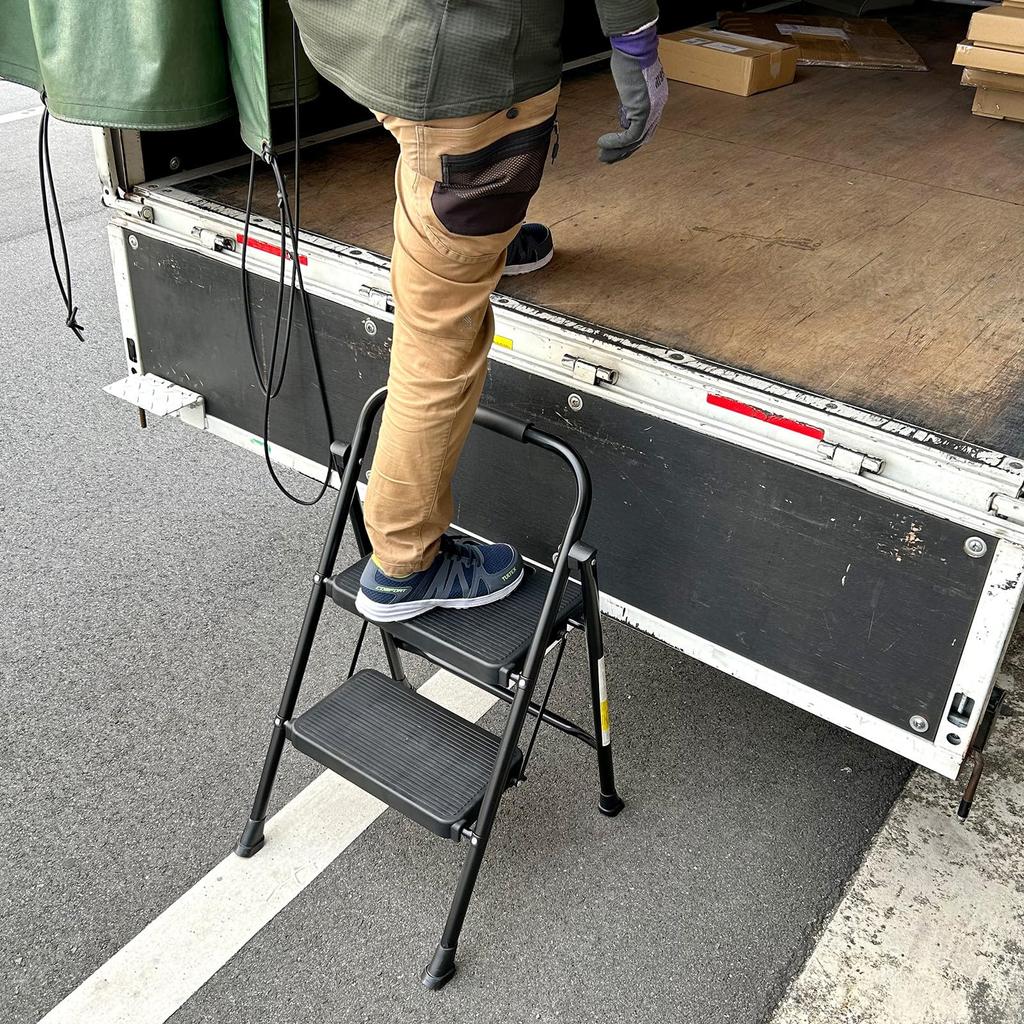 Sanwa Supply STL-1 2-Step Folding Stepladder, 150kg Weight Capacity, Steel Frame, Black