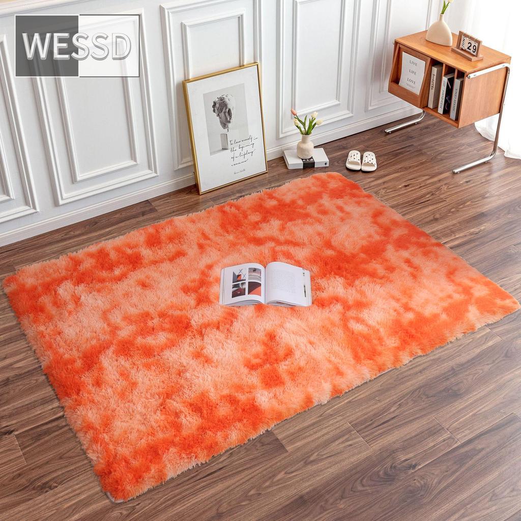 Přechodový barevný plyšový koberec do ložnice Měkký obdélník Huňaté koberečky do obývacího pokoje Roztomilá heboučká dívčí podložka do pokoje Dětská podložka na hraní na koberec Dekorace do pokoje