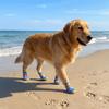 4 pcs/set Non-slip Dog Mesh Shoes Breathable Mesh Dog Sneakers Pet Net Boots  Outdoor Walking