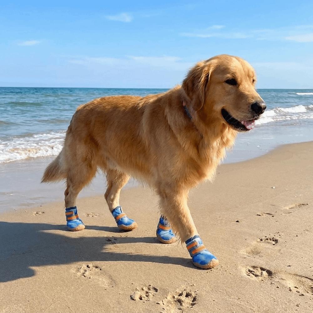 4 pcs/set Non-slip Dog Mesh Shoes Breathable Mesh Dog Sneakers Pet Net Boots  Outdoor Walking