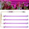 1Pc Red Blue LED Grow Light Strip Tube Indoor Plant USB Full Spectrum Phyto Lamp Dimmable Timer Seedlings Vegs Flower Lamp
