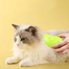 Katze Dampfbürste Elektrische Spray Katze Haar Pinsel 3 In1 Hund Dampfer Bürste Für Massage Hundesalon Katze Haar Pinsel für Entfernen