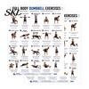Core Leg Workout Poster 2 Pcs Dumbbell Chart Poster, Full Body Exercise Weight Lifting Instruction Wall Art, Strength Training Fitness Guide for Home