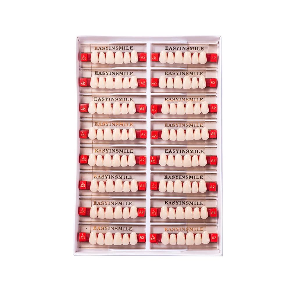 16/12 Sätze/Karton Zahnprothese Zähne Oberkiefer Frontzähne Unterkiefer Seitenzähne Dentier Synthetisches Polymerzähne Zahnmedizinische Ausbildungsmodell