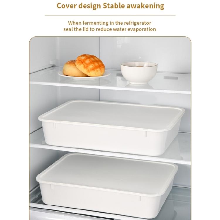 Rapid Fermentation Dough Box Featuring PE Materials for Optimal Result Clear Designs and Airtights Seal Domestic