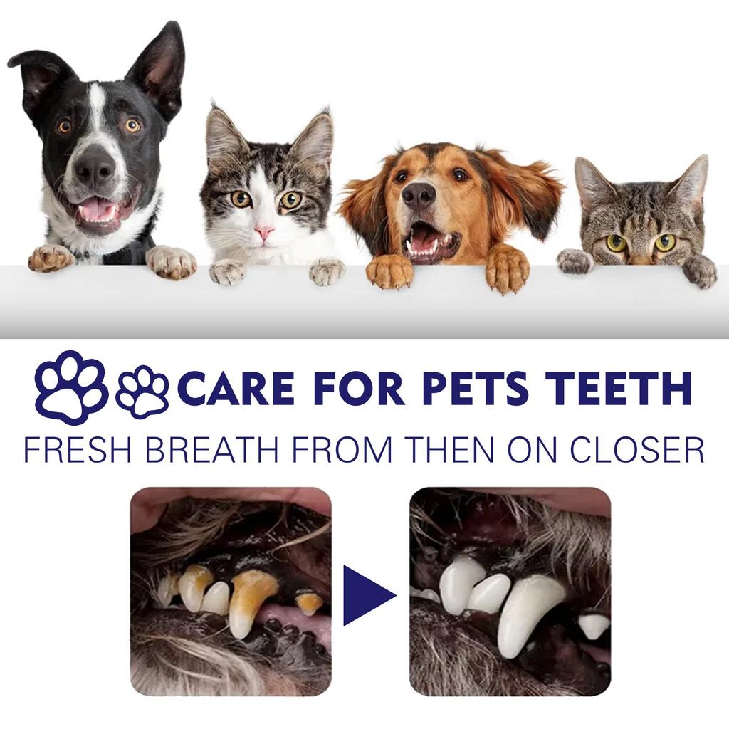 Pet Toothpaste For Cats And Dogs Pet Oral Cleaning Paste Plaque And Tartar Cats, Cats And Dogs Clean Oral Odour Tartar Stains Teeth