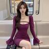 Purple Pure Desire V-neck Long-sleeve Dress - Women's Slimming Flattering Spring/Autumn Style, High-end Hot Girl Hip-hugging Skirt.
