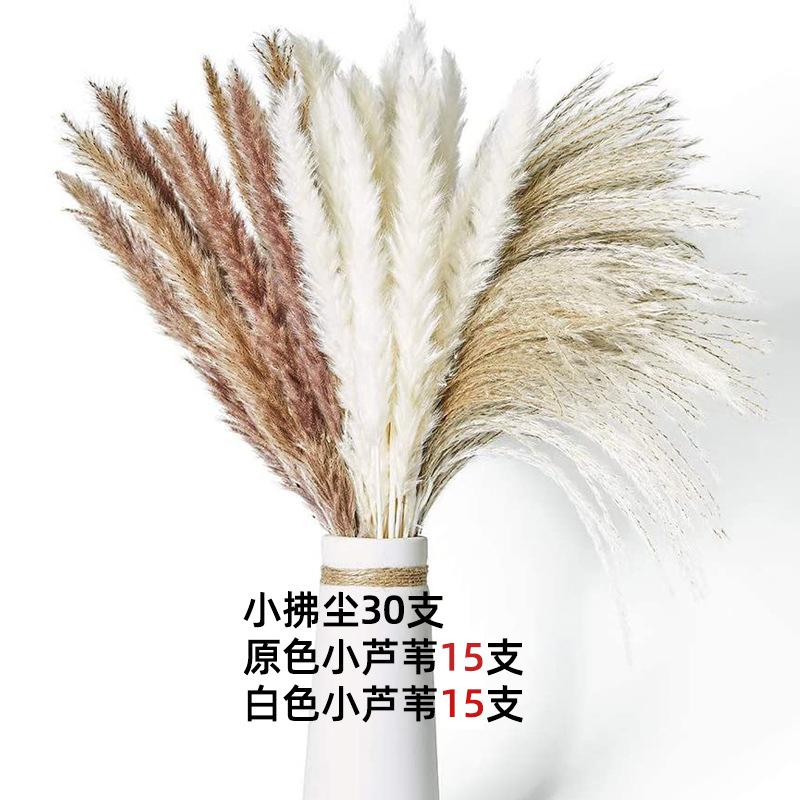 Combination Dried Bouquet, Small Reed Hare Tail Grass Whisk Dust Nordic Style Home Decoration Flower Arrangement Mix And Match Dried Flowers