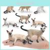 Siamese Cat Animal Model Pvc Toy For Kids Educational Desk Decor