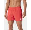 5-Inch Swimming Shorts