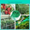 Schützen Sie Ihre Gartenerdbeeren und Ihr Gemüse mit wiederverwendbaren Vogelschutznetzen