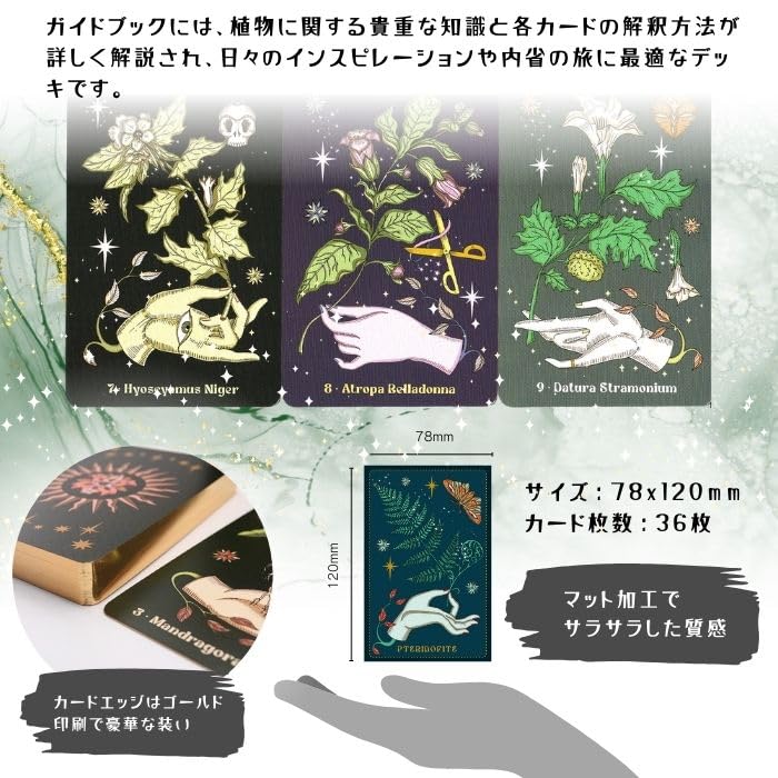 Herbarium Oracle Cards Instruction Manual Authentic Plant Magic (Japanese Included)