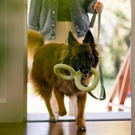 Dog Tug Toy Interactive Dog Tug-of-War Toy Heavy Duty Chew Toy Teeth Cleaning Toy for Aggressive Chewers Small to Large Dogs Indoor Outdoor Play