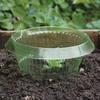 Vegetable Protection Cover Plant Shield With Pest Prevention For Garden Use