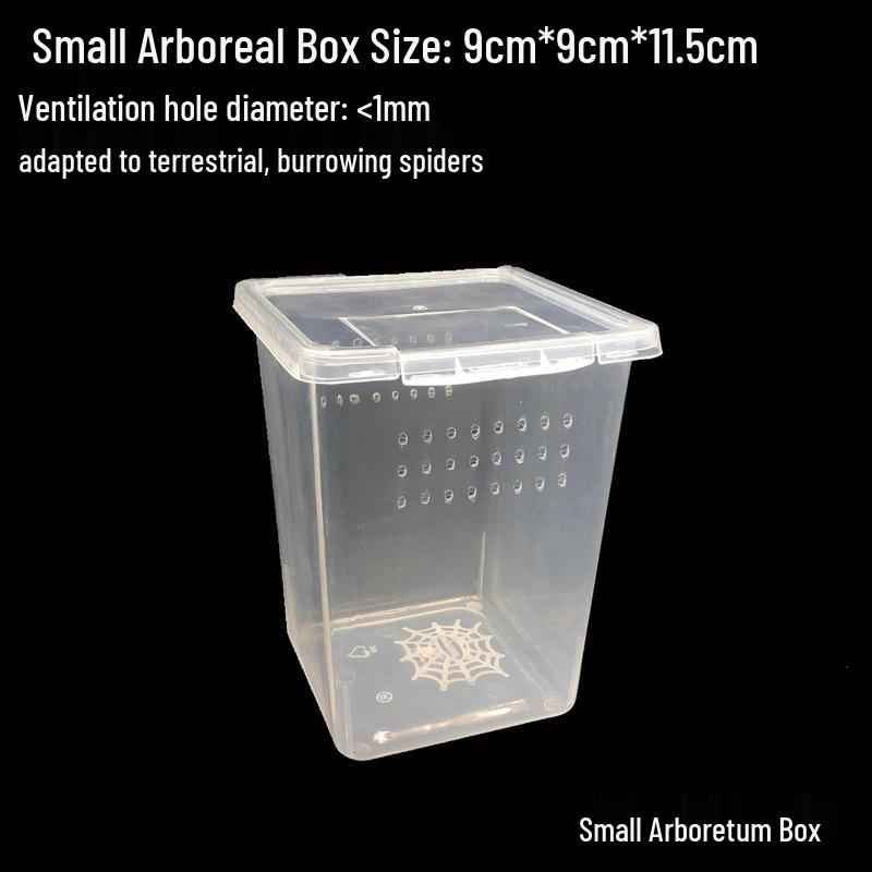 Amphibious Terrarium: For Reptile, Frog, Salamander, Snail, Silkworm, & Spider Rearing