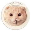 Kishima a Stylish Wall Hook for Entryway and This Natural Cat Design Is Perfect for Decorating Your Home or Available In and One KH-61241, Gardening,