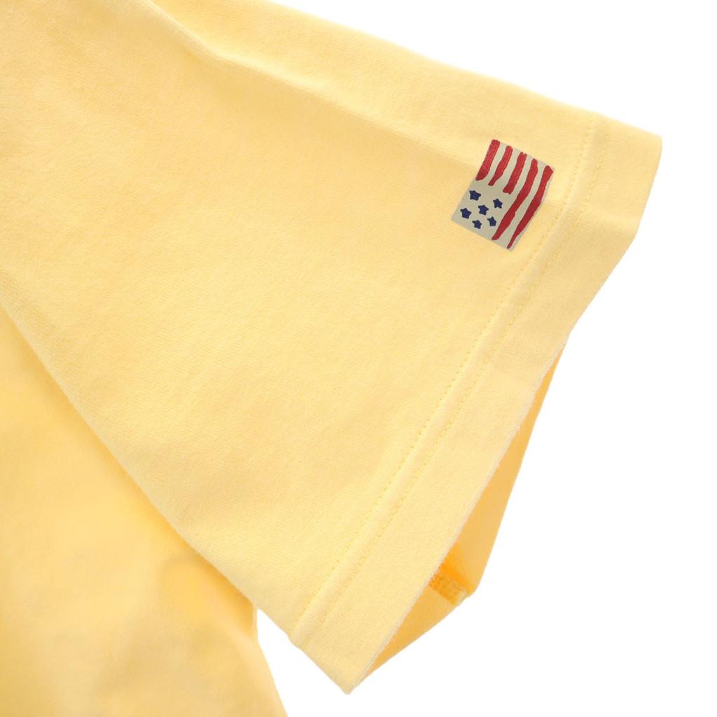 CHAPS RALPH LAUREN Short Sleeve T-shirt L Yellow Men's Used