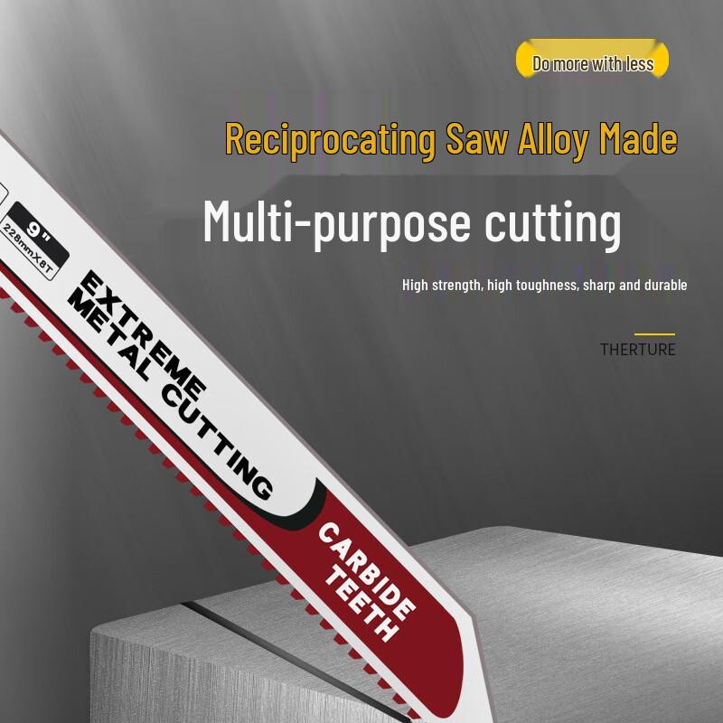 

Lanmo Alloy Reciprocating Saw Blade CN plug (adapter included)