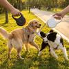 Hunde – Hundehalsbänder & Leinen