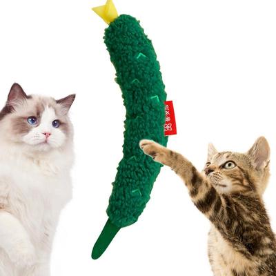 Kedi – Kedi Oyuncakları