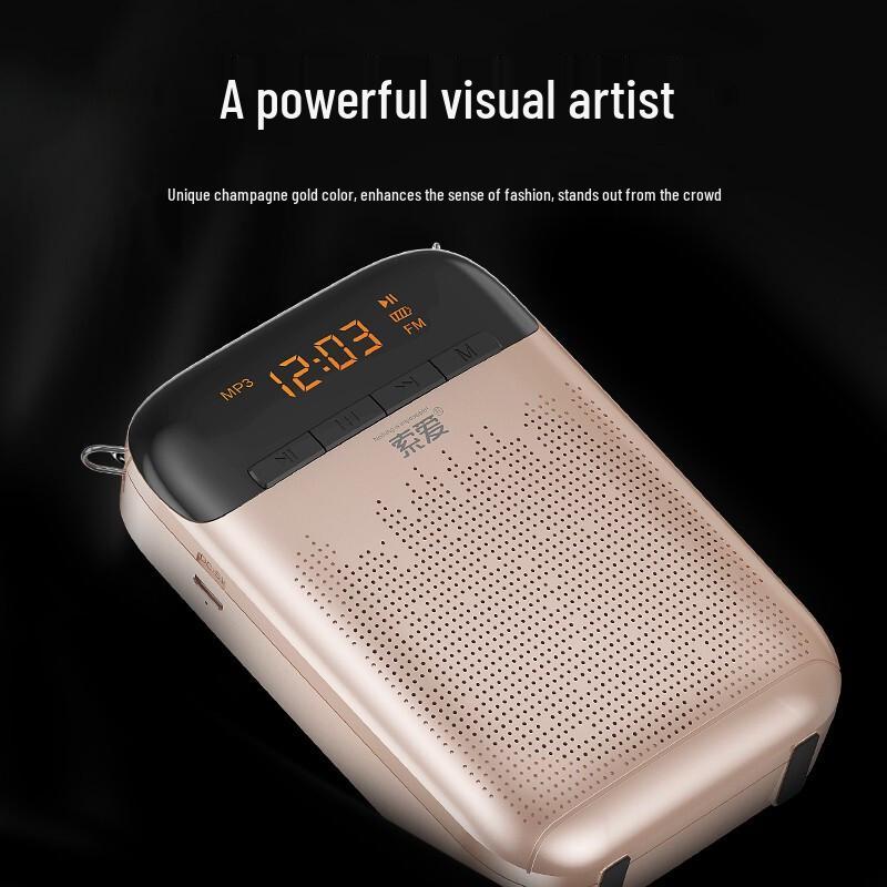 Soaiy S988 Portable Wireless UHF Amplifier Microphone