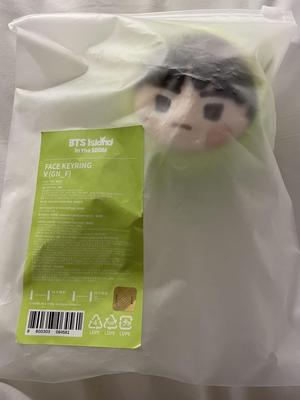 [USED] 2025 BTS FESTA Face Keyring V Taehyung In The Som