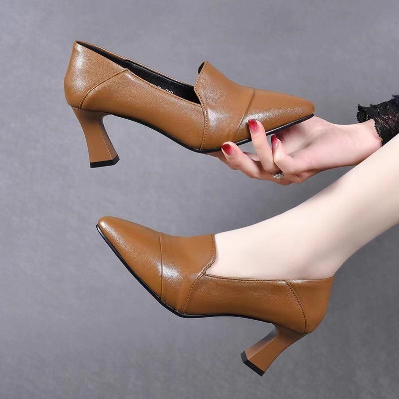 Temperament High Heels Women's Spring and Autumn New Pointed Thick Heel Versatile One-pedal Single Shoes Soft Leather Medium Heel Small Leather Shoes