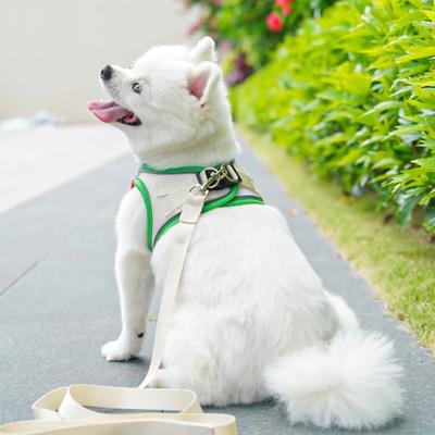 Cartoon Pet Vest Drool TowelBreathable Mesh No-Pull Dog Traction Rope With 1.2M Traction Rope All-Season Pet Harness Daily Walk