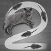 Giocattoli Peluche Interattivi Gatto Topo Ratto Falso Realistico Telecomandato Giocattoli per Gatti Cani Animali Domestici Regalo Grigio Novità