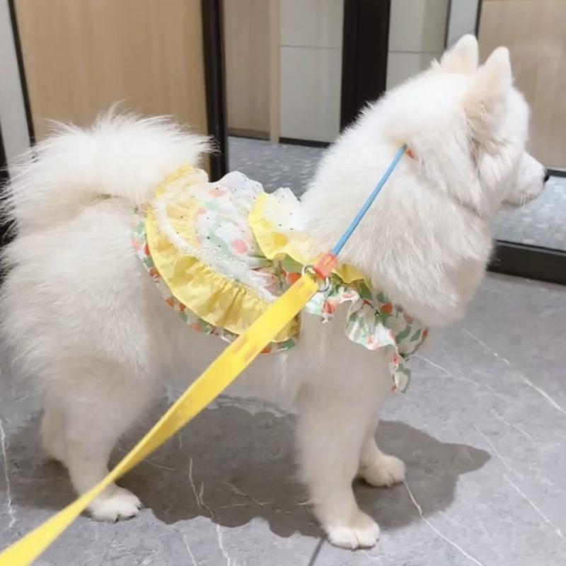 Pet spring and summer new medium and large dog princess lace skirt cute dog cat clothes Samoyed anti-hair loss