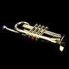 Golden Music Educational Children Trumpet Kids Trumpet Plastic for W/ 4 Colored