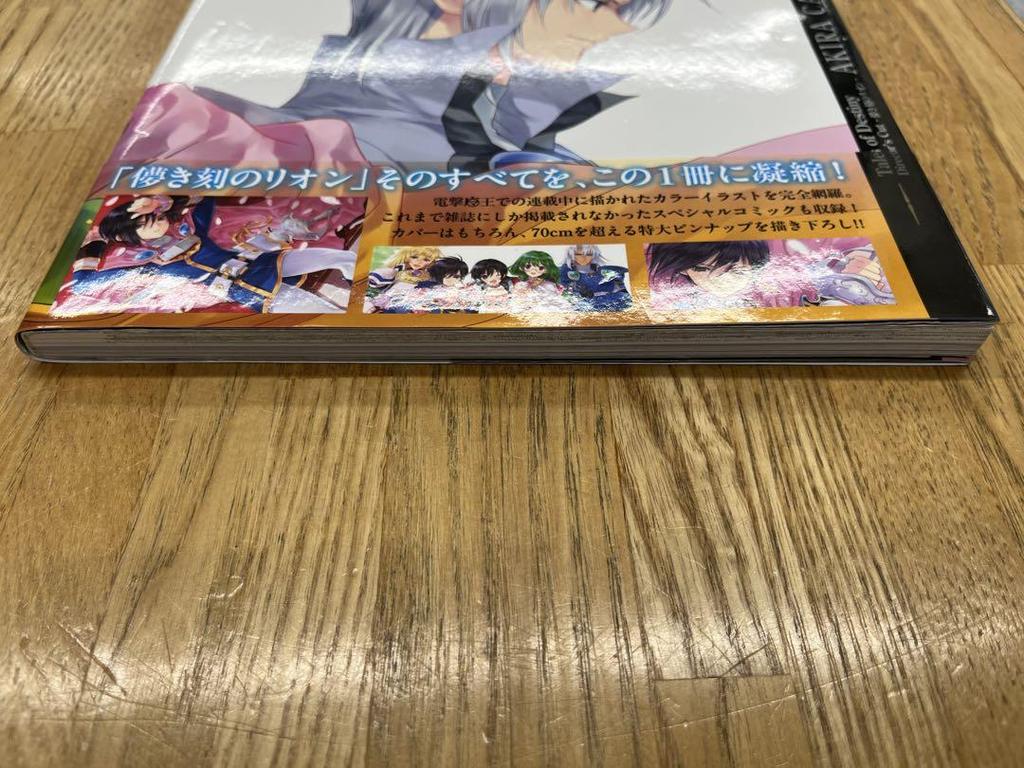 [USED] Kasukabe Kira ARTWORKS: Tales of Destiny Director's Cut