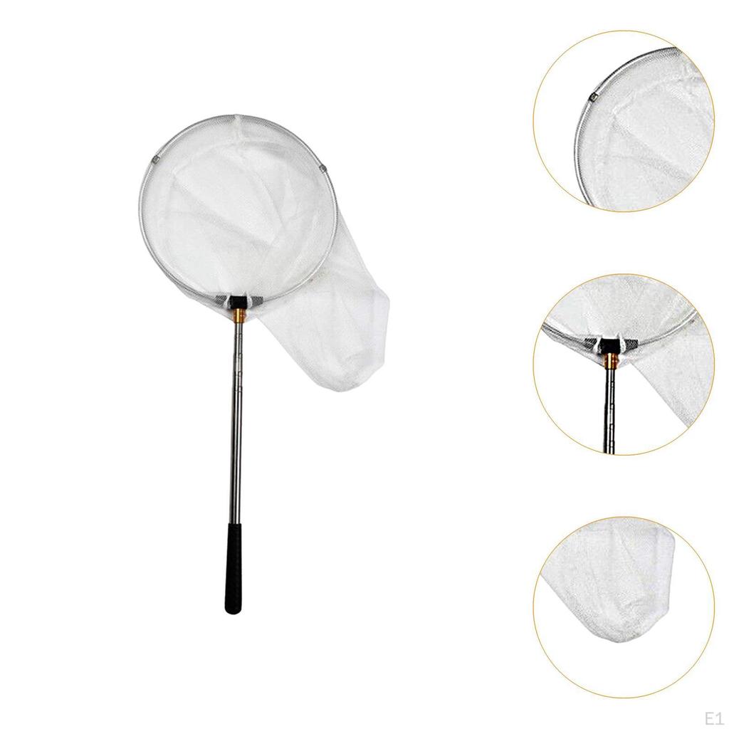 Landing Net Telescoping for Kids Adults Fishing Prawns Salmon Pond