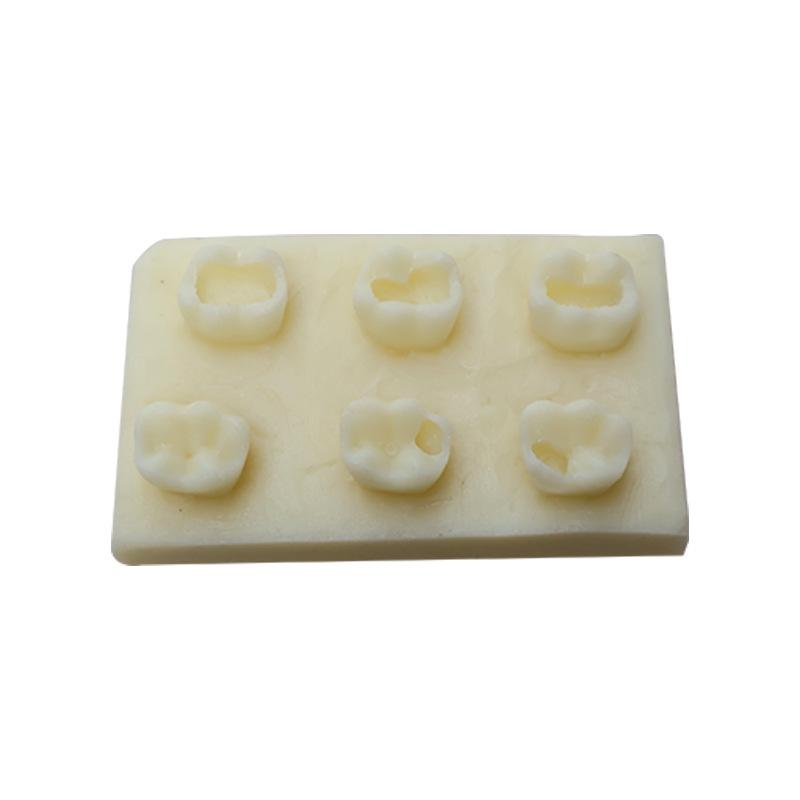 Tooth Morphology Practice Model Root Canal Filling Inlay Resin Module For Dental Teaching Training Resin Model Tool